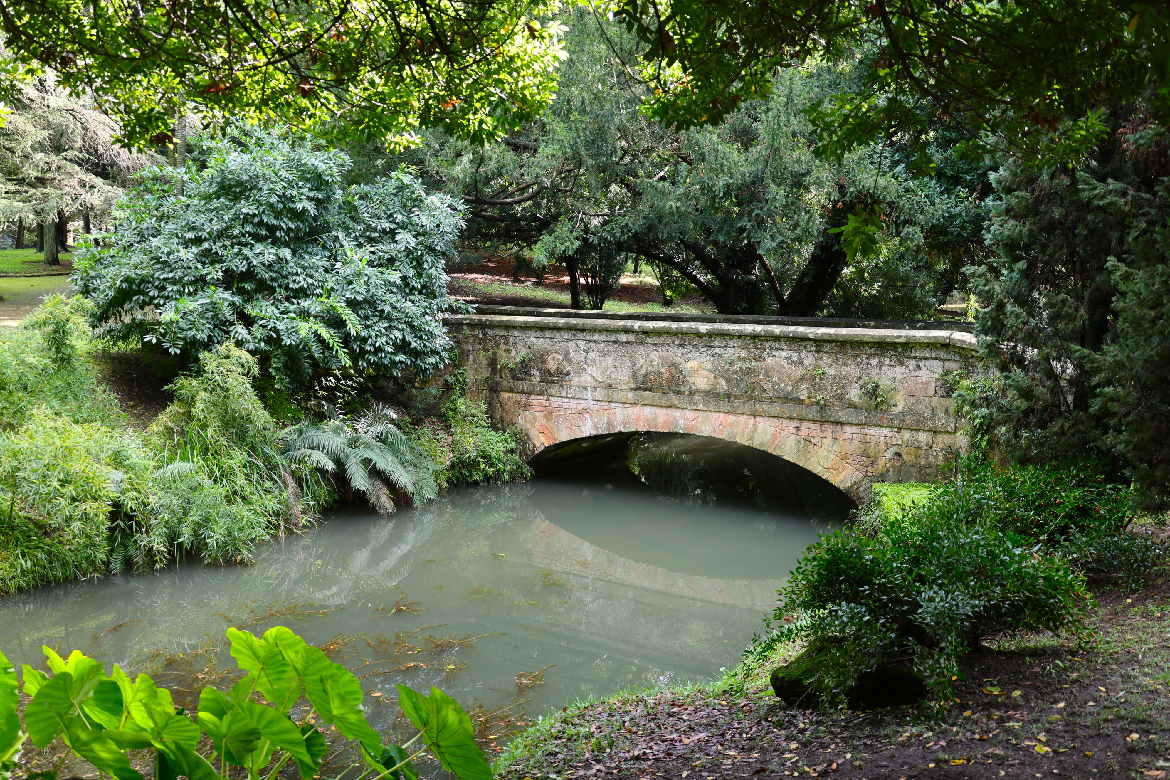 English Garden